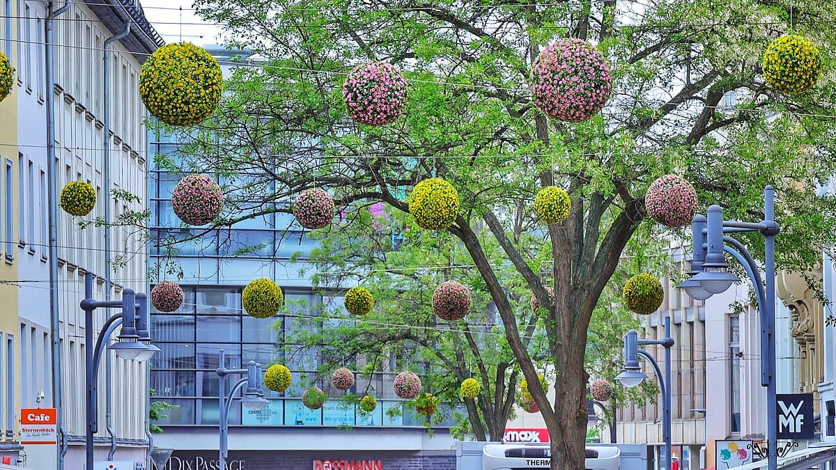 Ein Straßenzug, der mit Blumenbällen an Seilen überspannt ist. © Stadt Gera