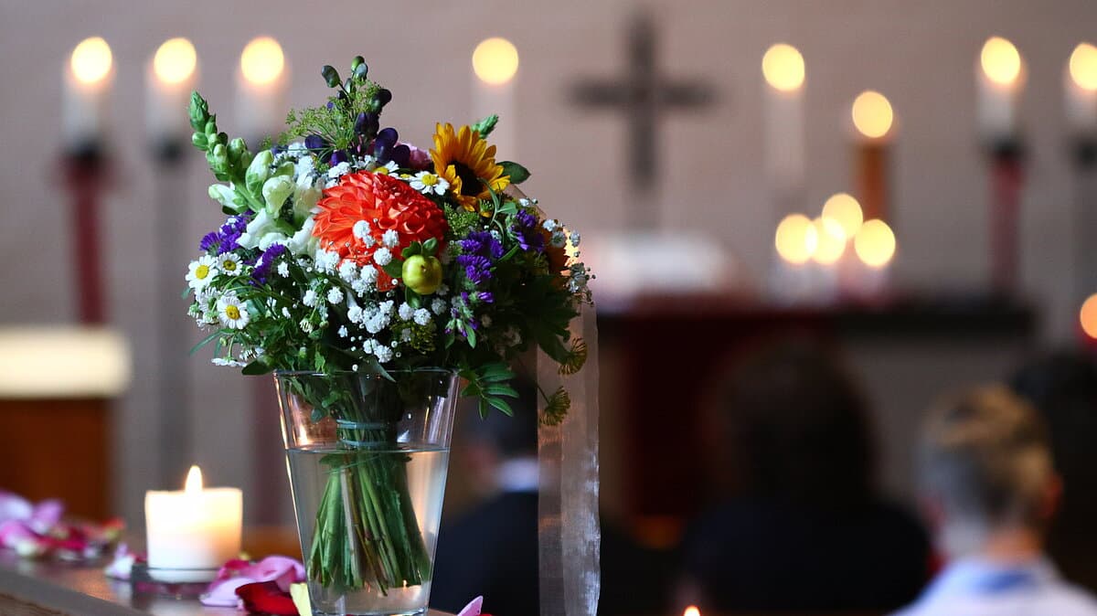 . © Biewer_Jürgen - stock.adobe.com